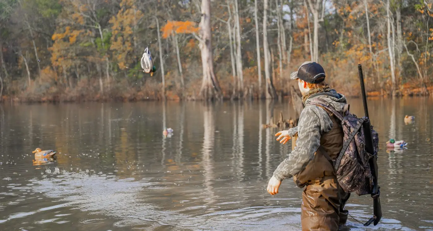 Quail hunt numbers triple