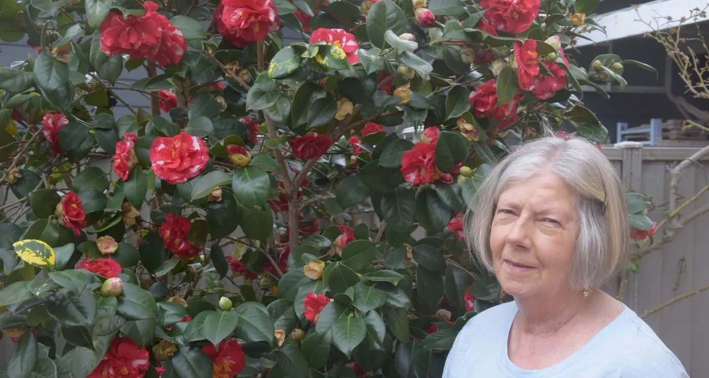 Euroa Garden Club members share plans, tips for spring