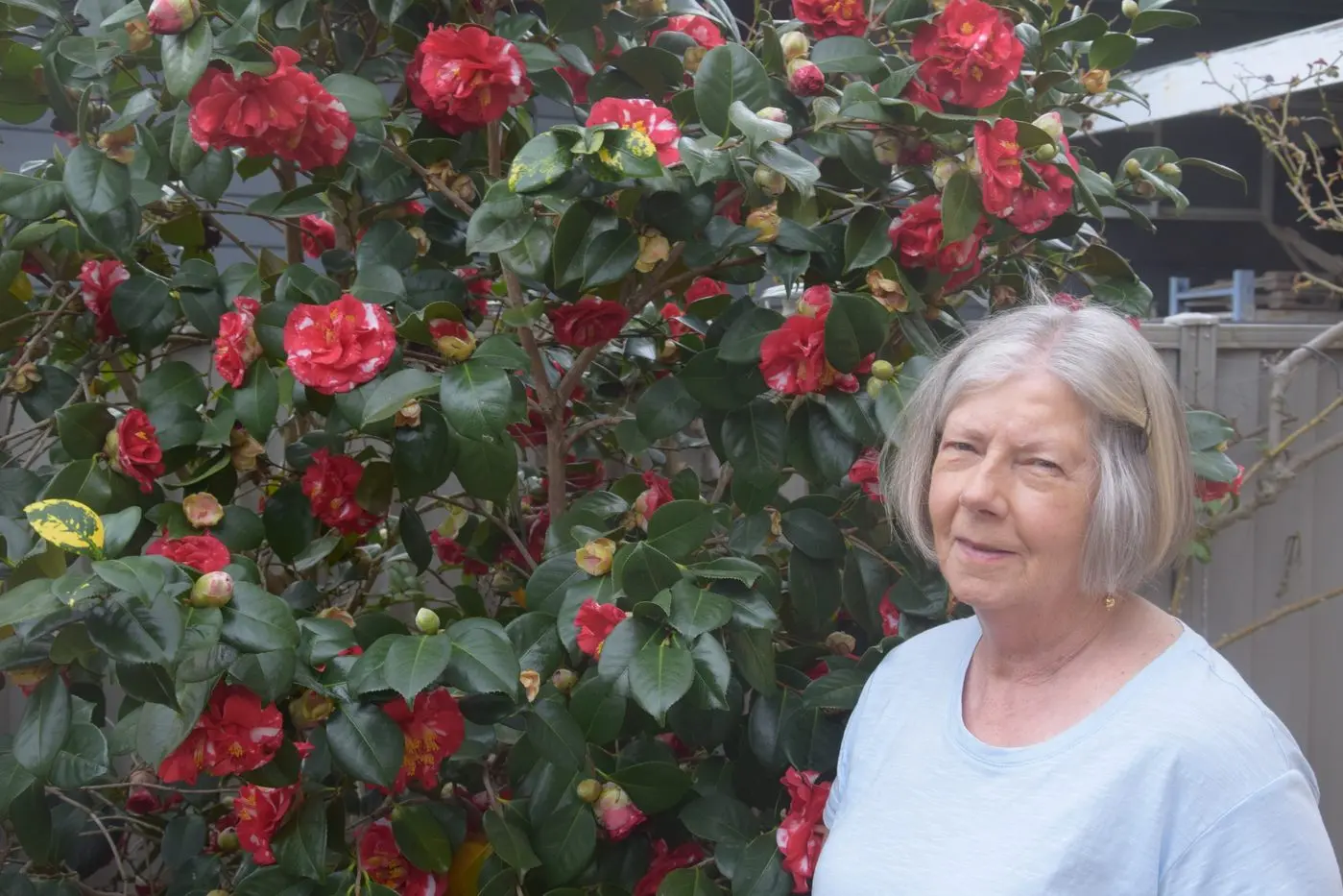 CHRISTINE\\'S PLAN: Christine John looks forward to walking each day around the garden in spring. PHOTOS: Darren Chaitman