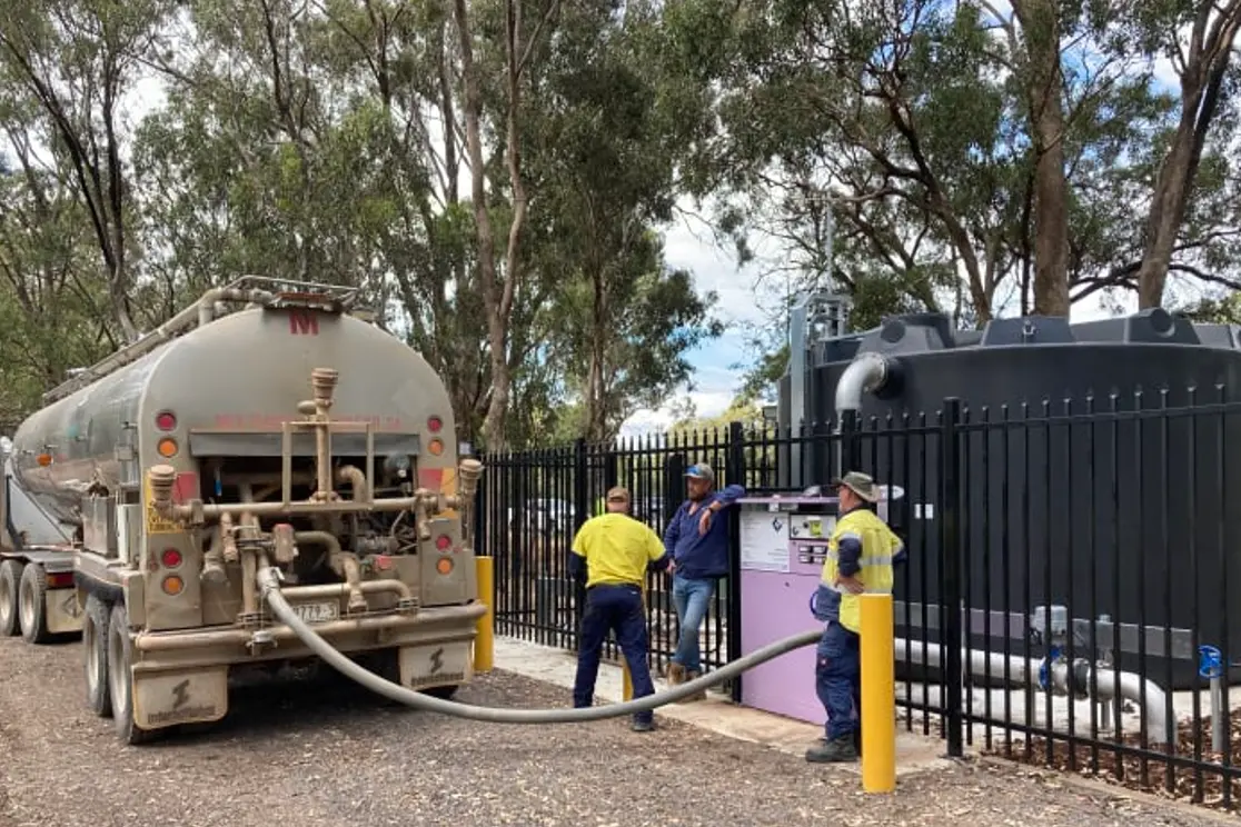 BUDGET PROPOSALS: Indi MP Helen Haines has put forward her budget submission, with several projects from the Strathbogie Shire nominated, including the next step of the Greening Euroa project (pictured).  Id:37890