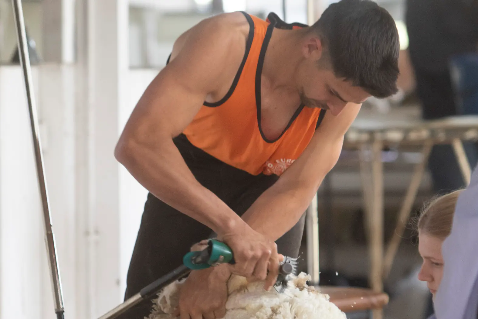 <p>WIDE IS HIS BLOW AND HIS HANDS MOVE QUICK: Nathan Van Elke shows his strengths and finesses in the Team Shearing event. PHOTOS: Dale Mann</p>\\n
