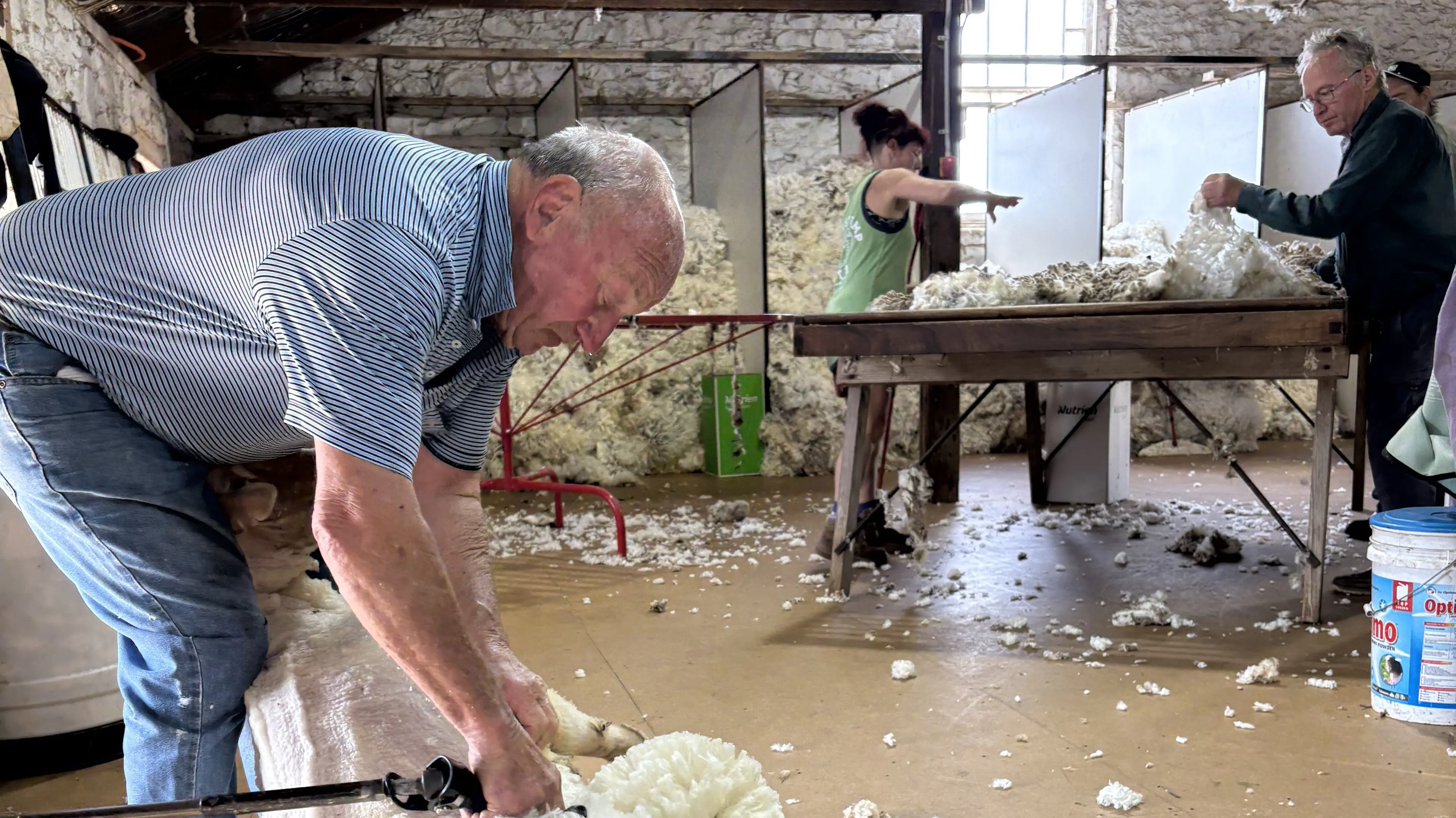 \"The cow's dead and Mum's had a baby\"