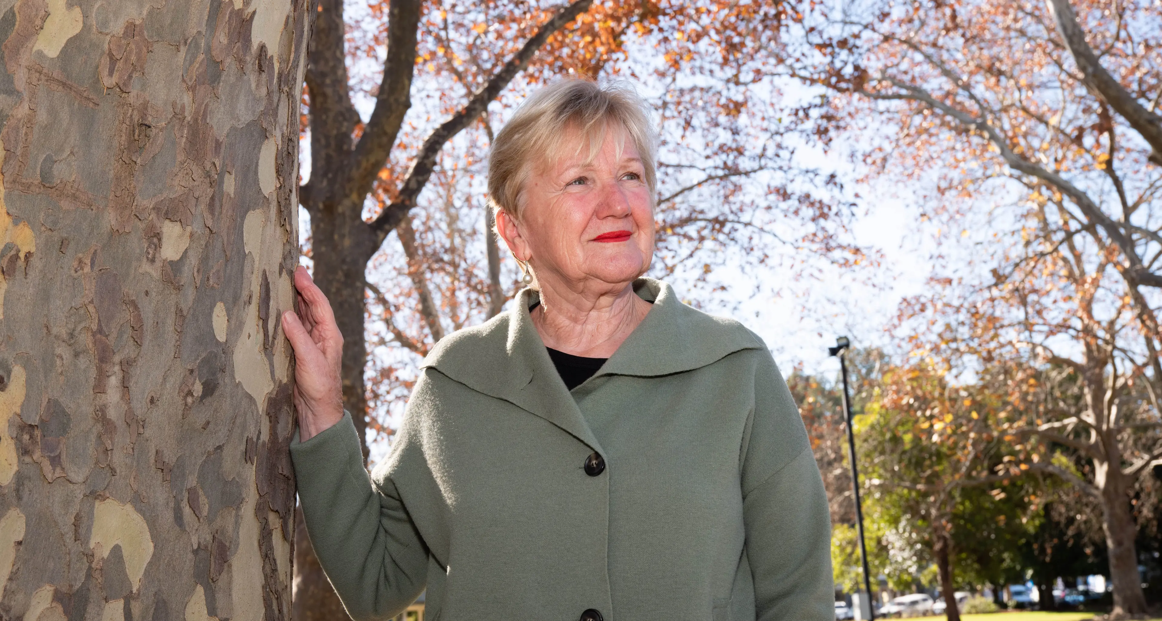 Council to enter “unprecedented” territory following state's solar farm approval