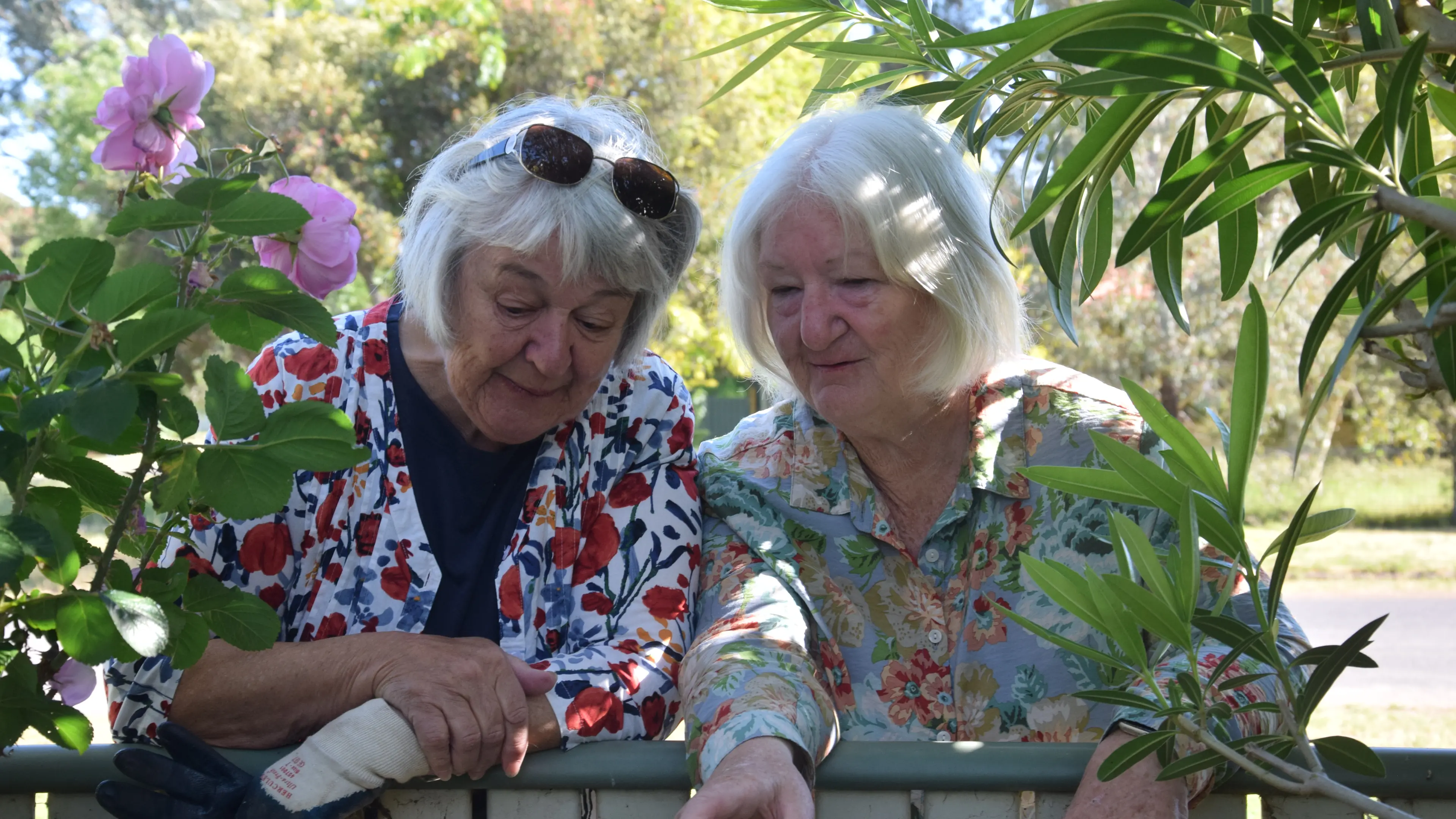 Walking the streets to find the best home-grown beauty