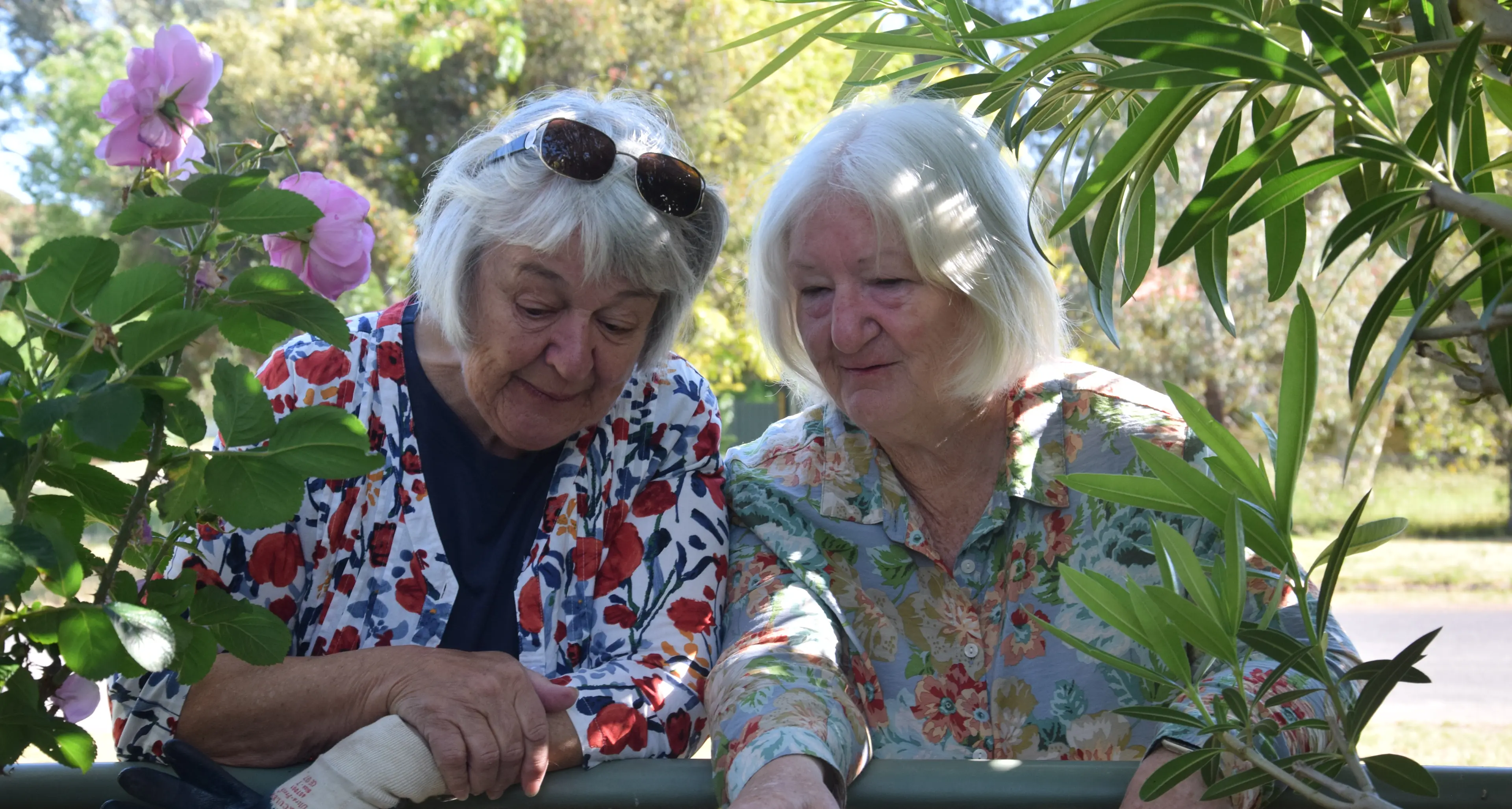 Walking the streets to find the best home-grown beauty