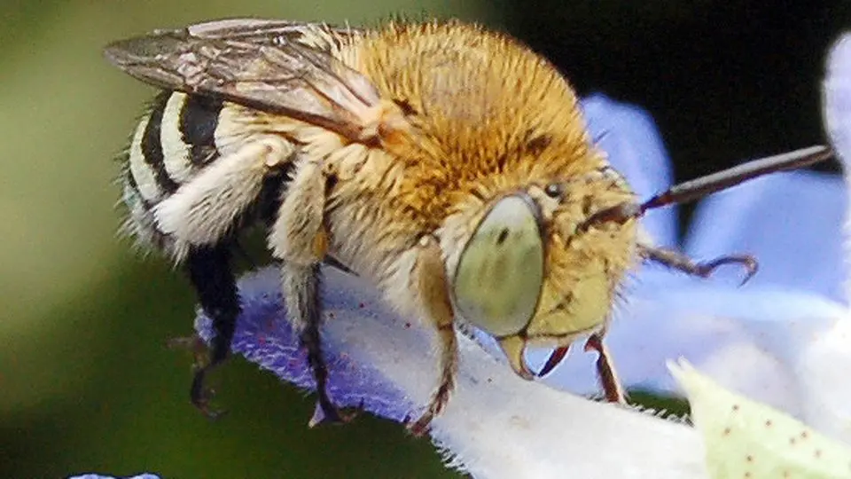 Give ten minutes to help the boffins