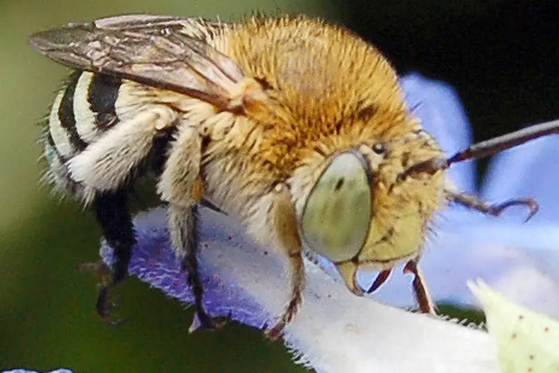 Give ten minutes to help the boffins