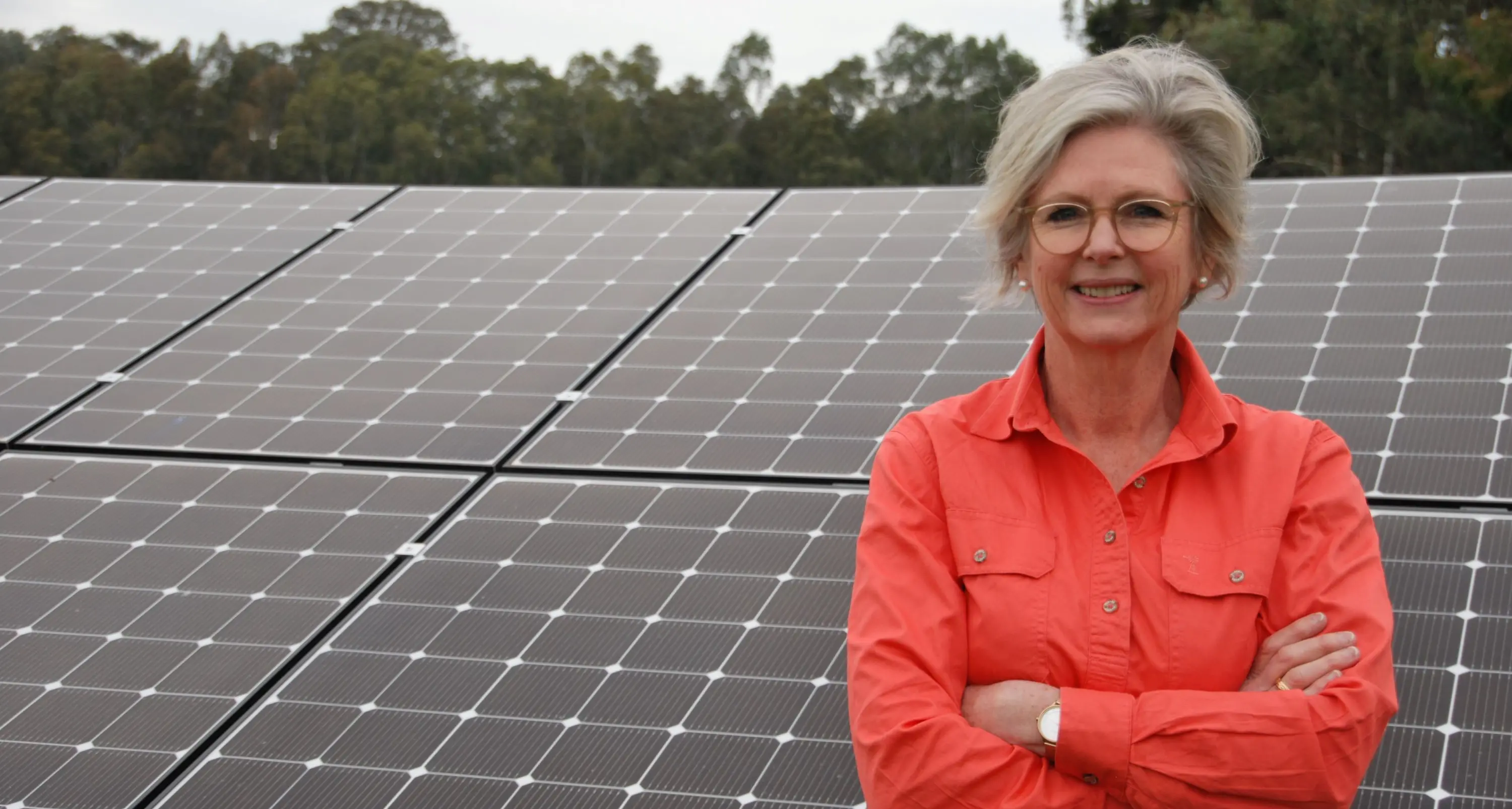 Net zero repeal would hit regions the hardest: Haines