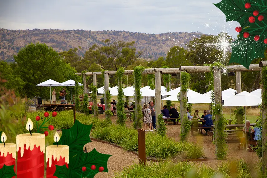 <p>STARS UNDER THE STARS: Avenel\\'s unique inaugural carols night at Fowles Wine will have a world-class lineup of singers.</p>\\n