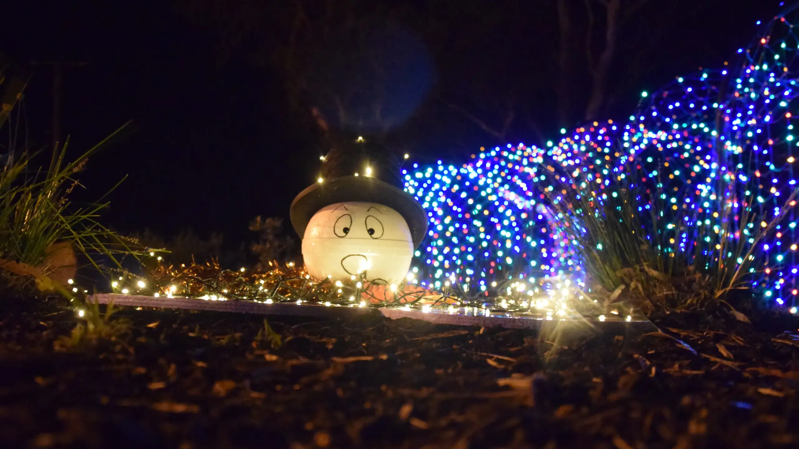 Light Up Longwood for Grinchmas