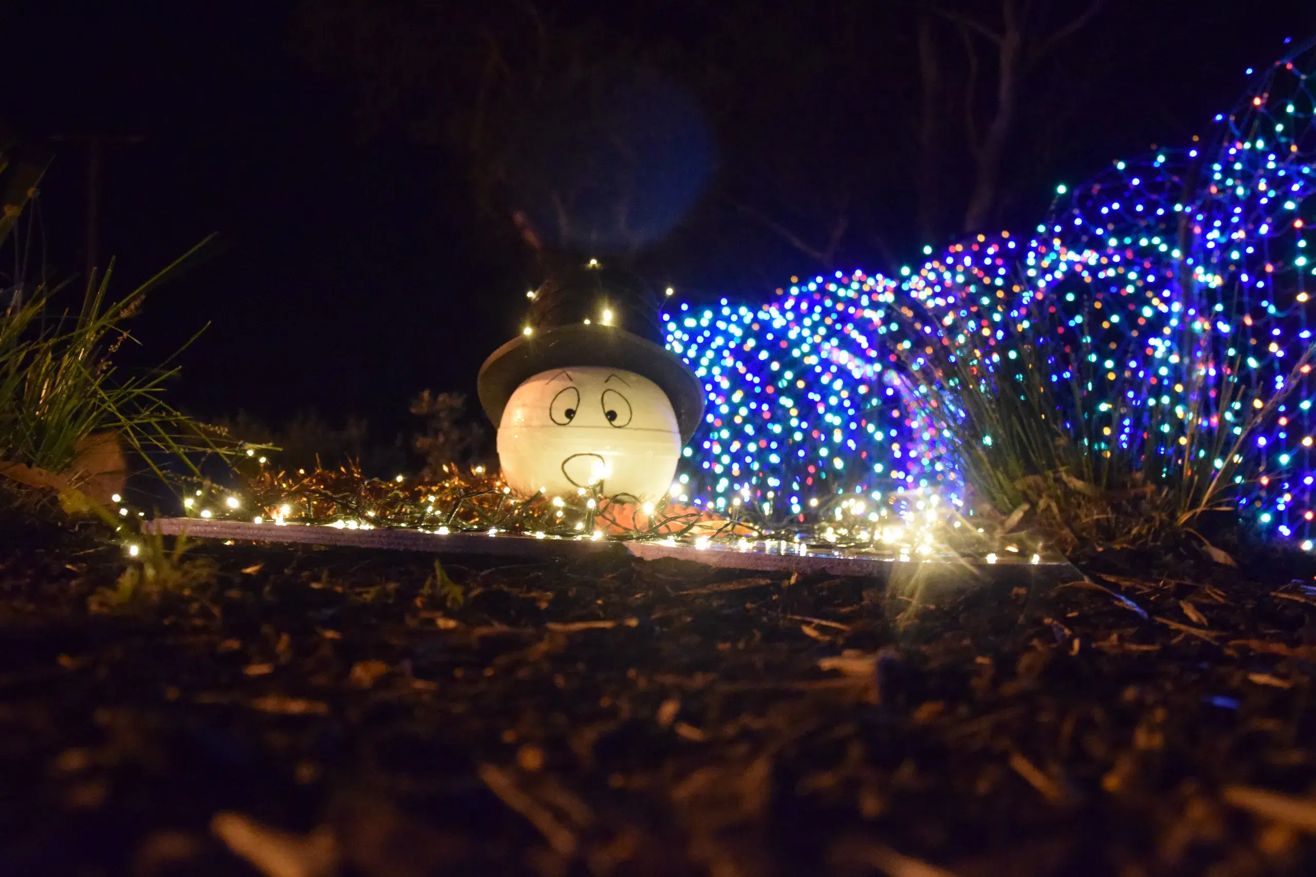 <p>SUMMER THAW: Bec Threlfall\\'s ground-level feature of a melted snowman in Light Up Longwood\\'s growing display around town. PHOTOS: Andy Wilson</p>\\n
