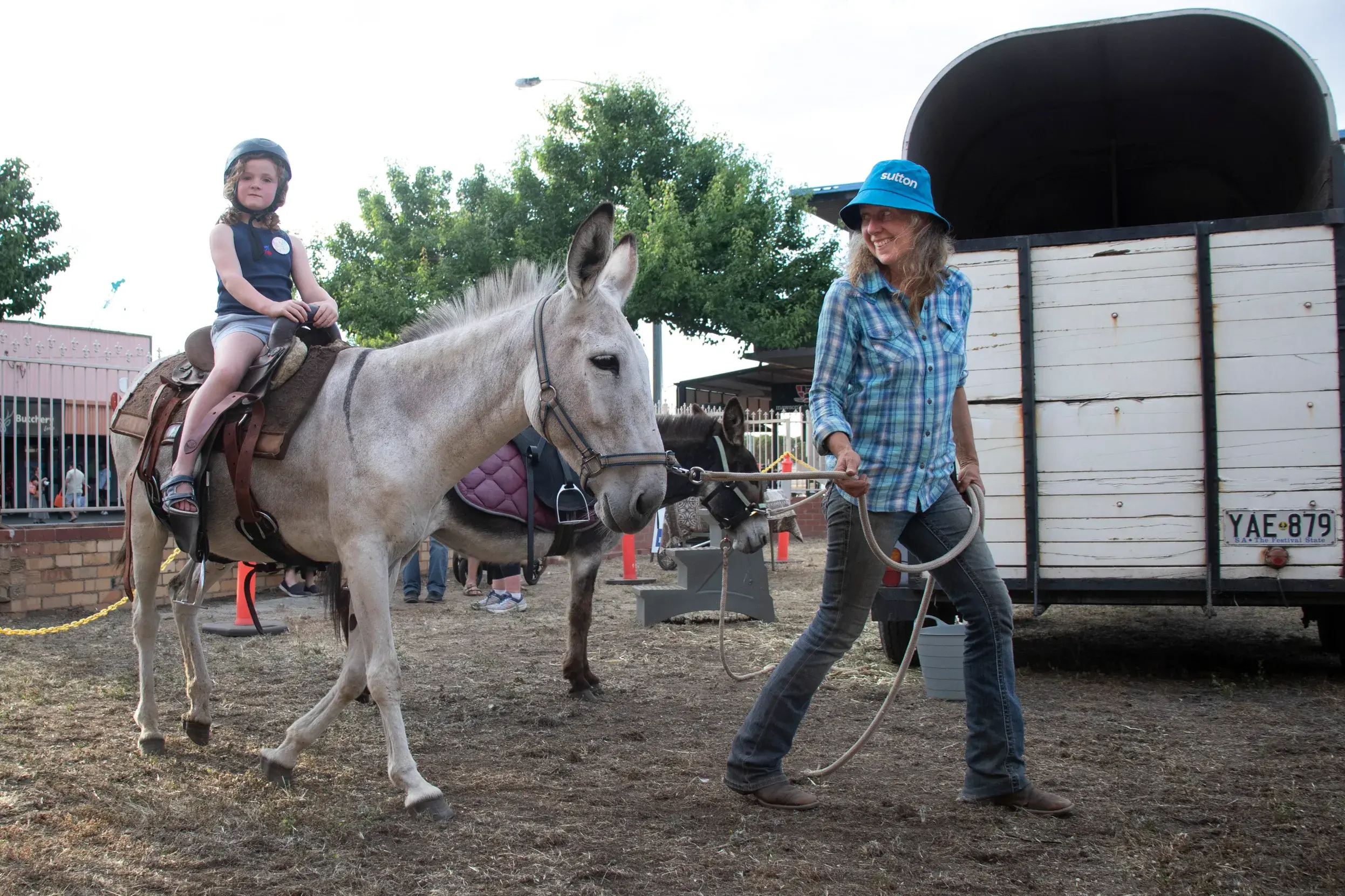 <p>JOURNEYING TO CHRISTMAS: Tori Ellis kicked off her Christmas season with a donkey ride on Binney Street on Friday night. PHOTO: Dale Mann</p>\\n