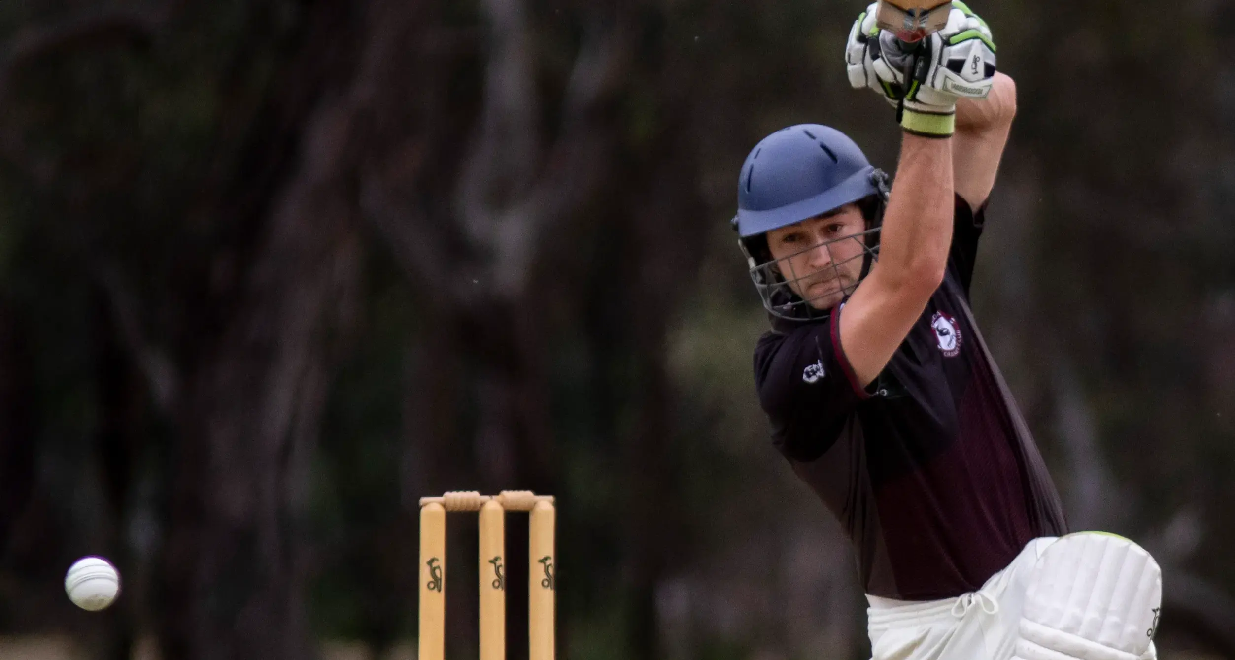 Euroa B overcome early wicket losses to secure a tight victory