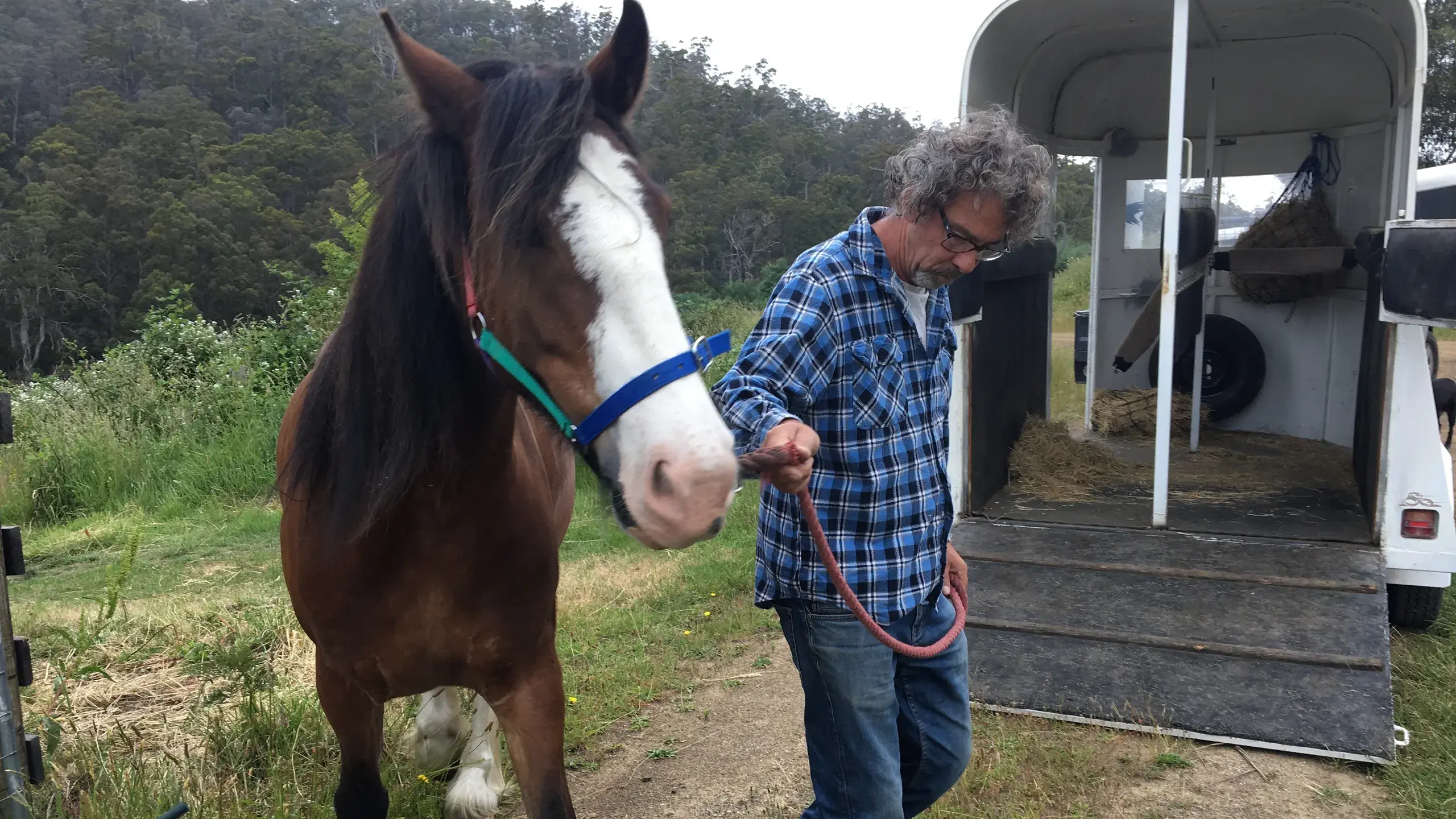 Bushfire plans for horses need practicing