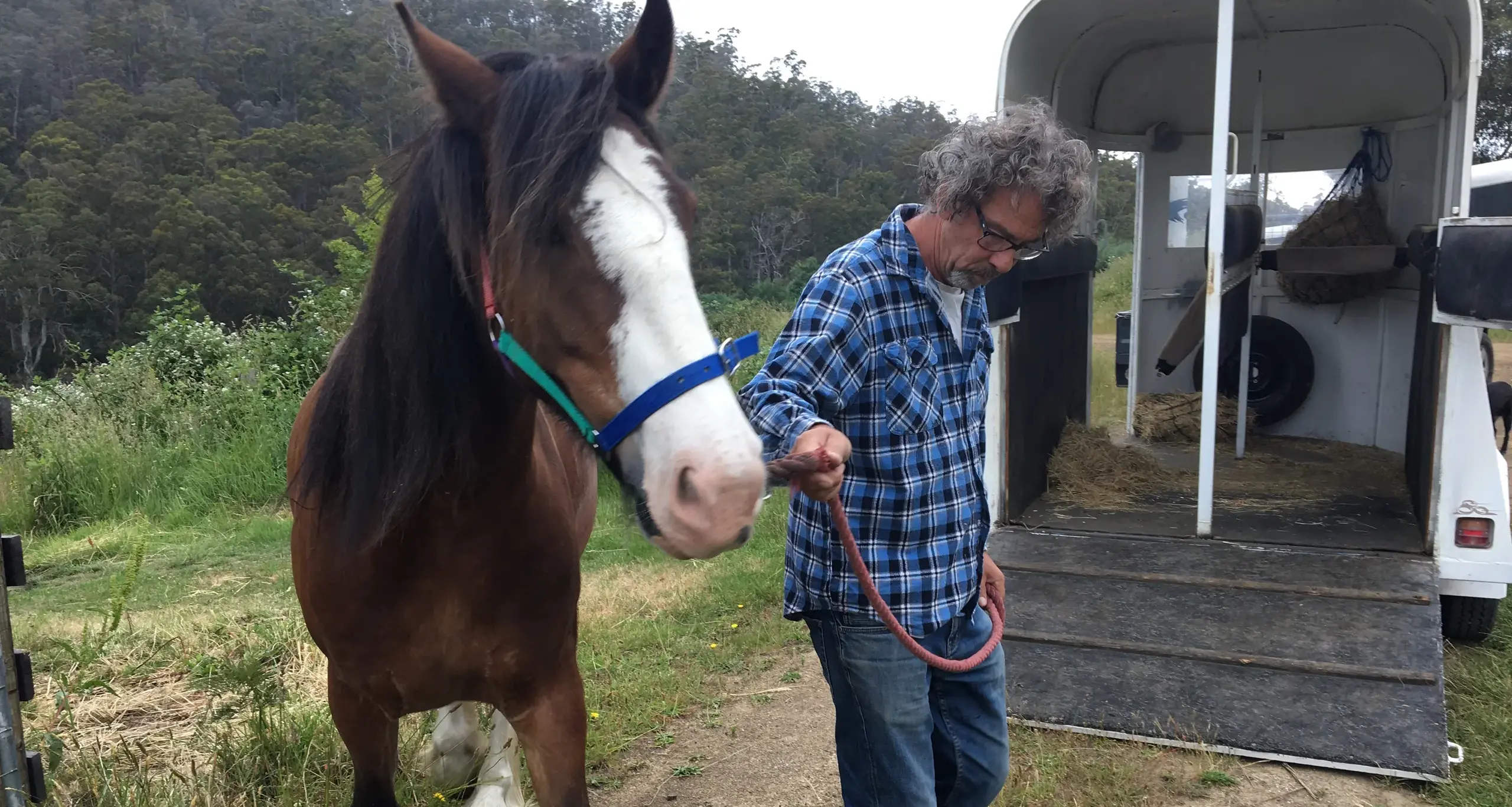 Bushfire plans for horses need practicing