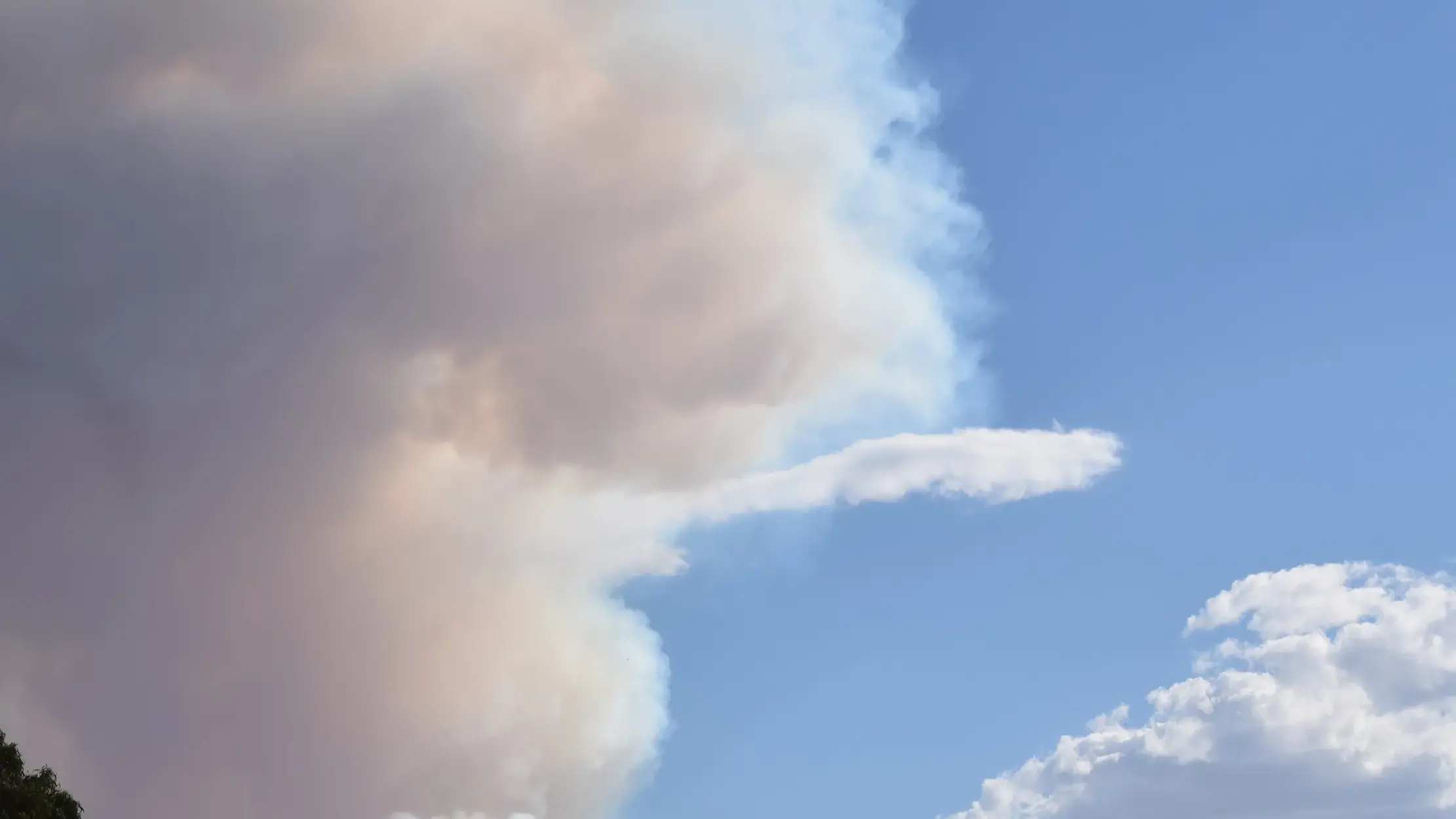 New recovery measures for fire-affected communities