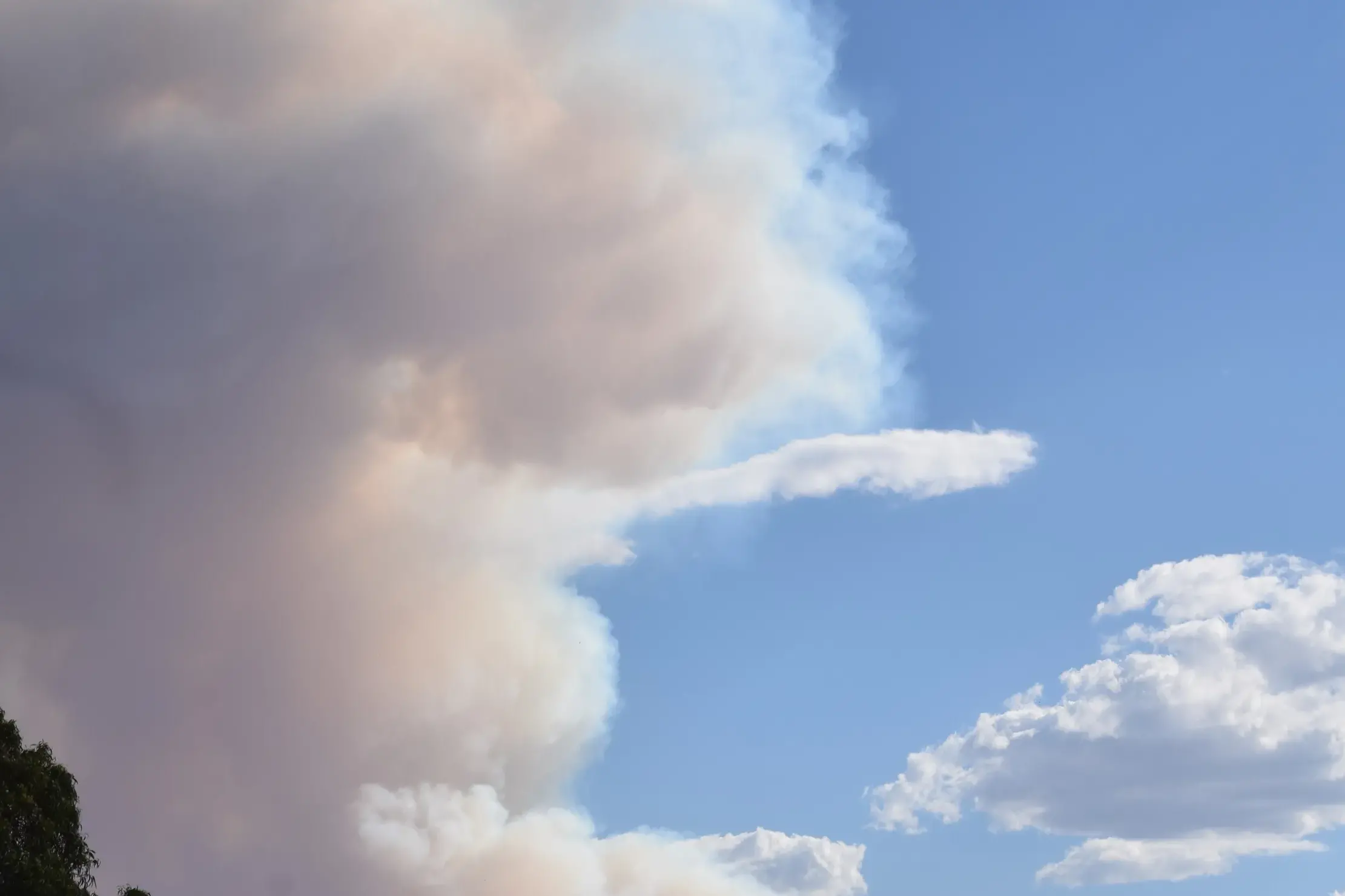 New recovery measures for fire-affected communities