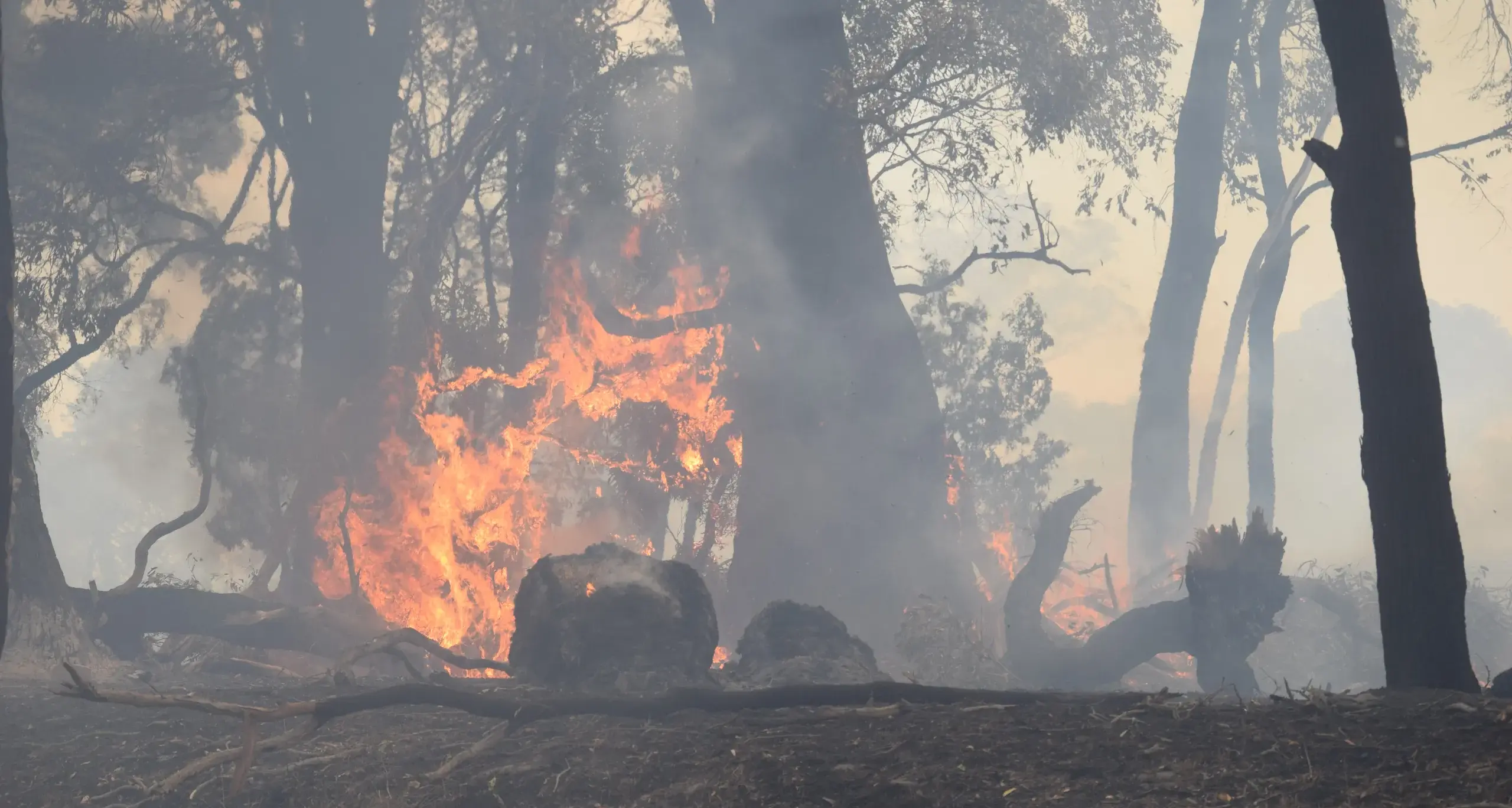 Upper House inquiry into Victorian fires welcomed