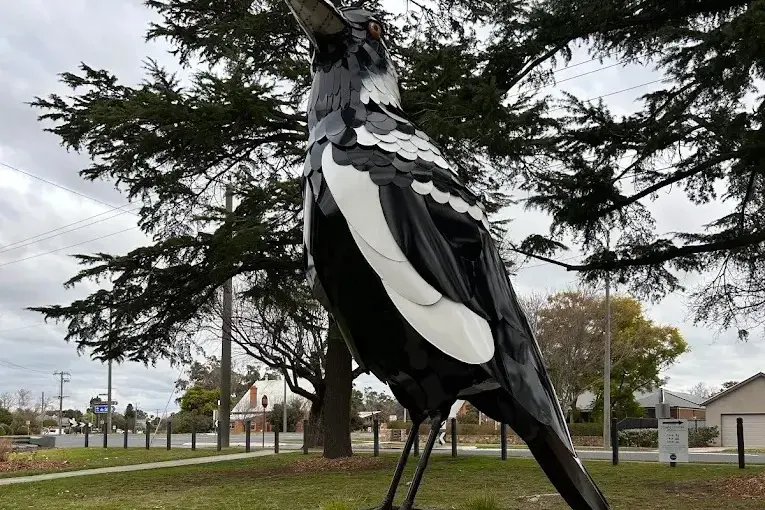 <p>CHAMBER OFFERS NEW INFORMATION: The Chamber of Business and Commerce has updated its website for people to both access and offer bushfire relief support. PHOTO: Hamish Jones</p>\\n