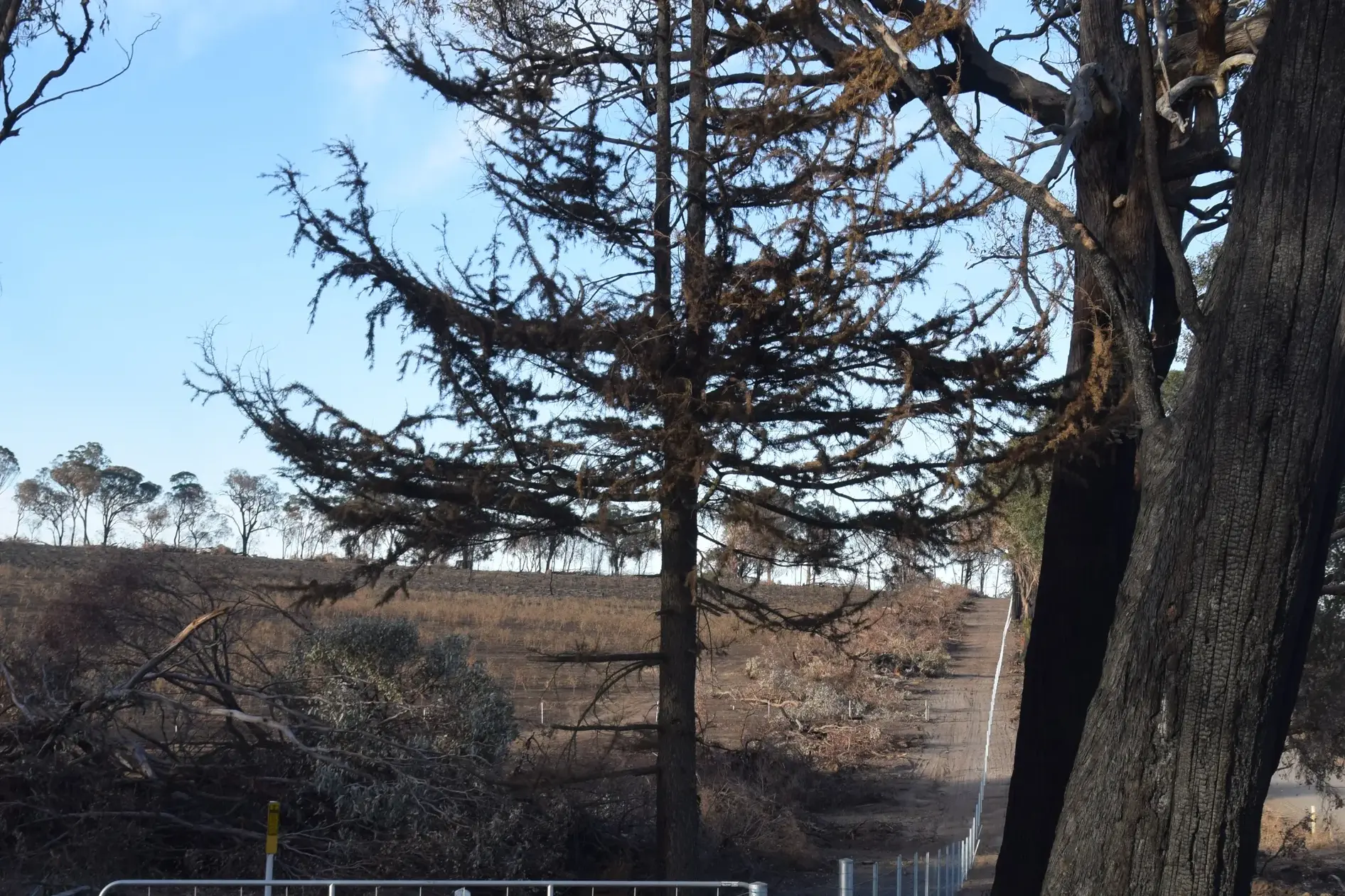 <p>ASK: DFFH is urging impacted residents across the shire to find out what support is available. PHOTO: Andy Wilson</p>\\n