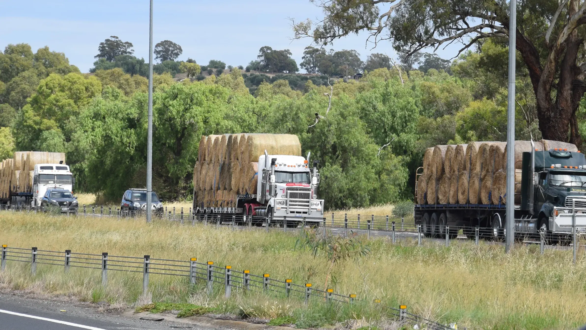 Next feed drive rumbles into town