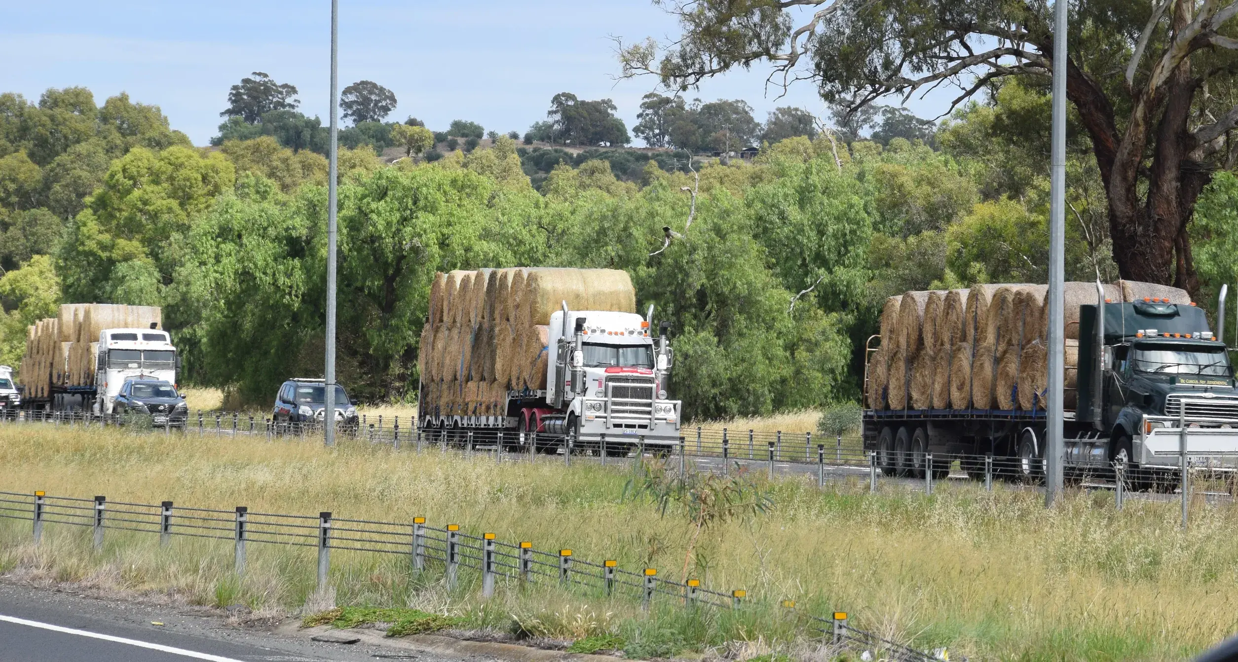 Next feed drive rumbles into town