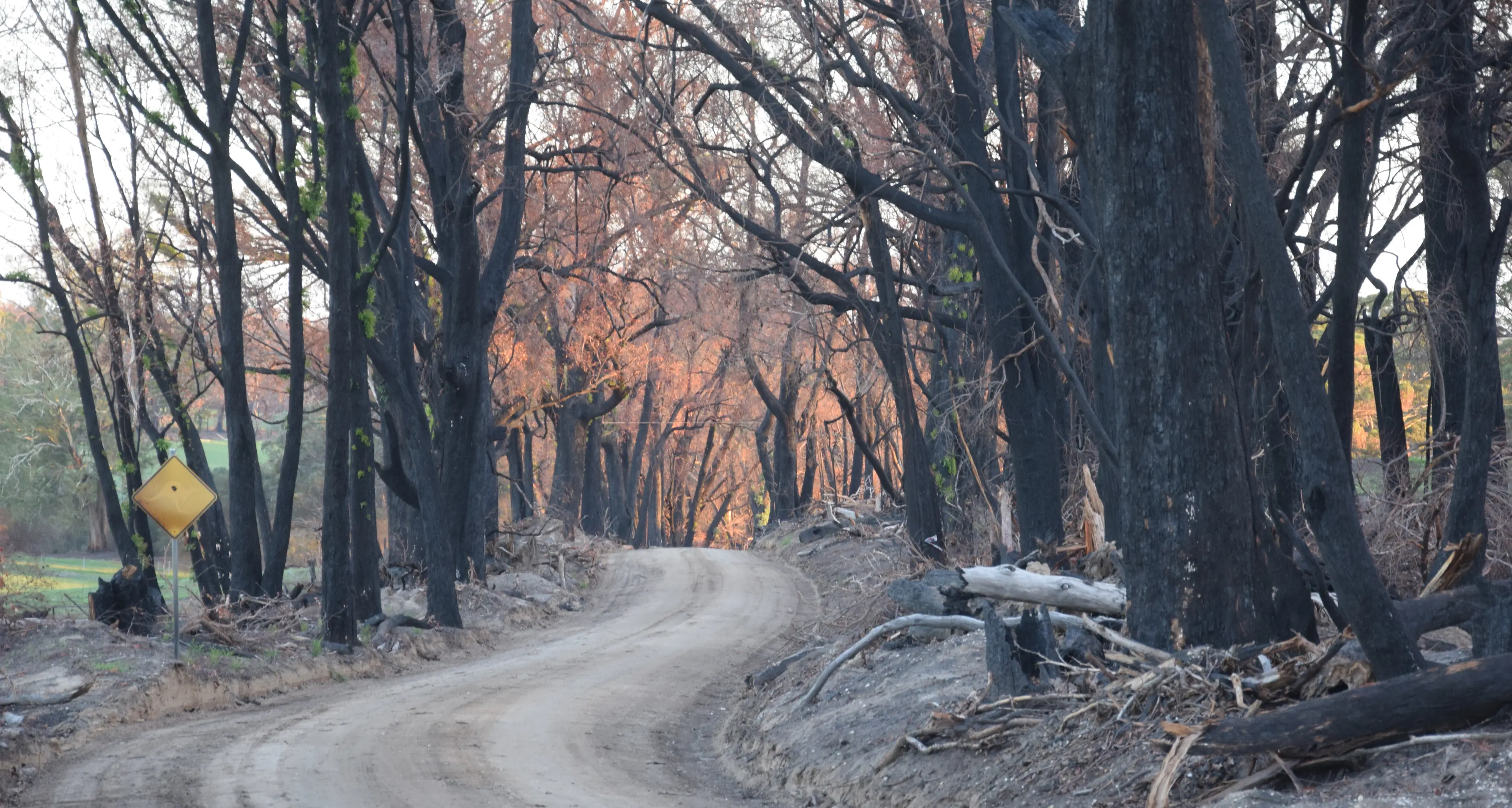 New partnership drives long-term fire recovery