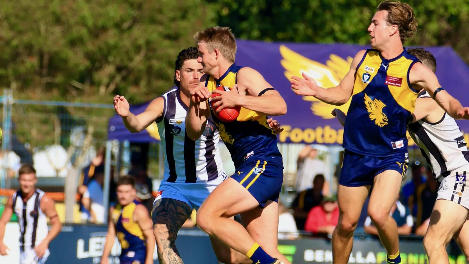 Mansfield proves too strong for Euroa seniors