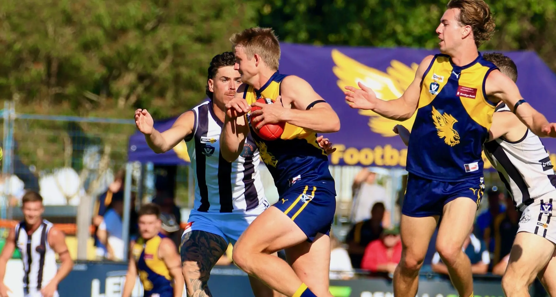 Mansfield proves too strong for Euroa seniors