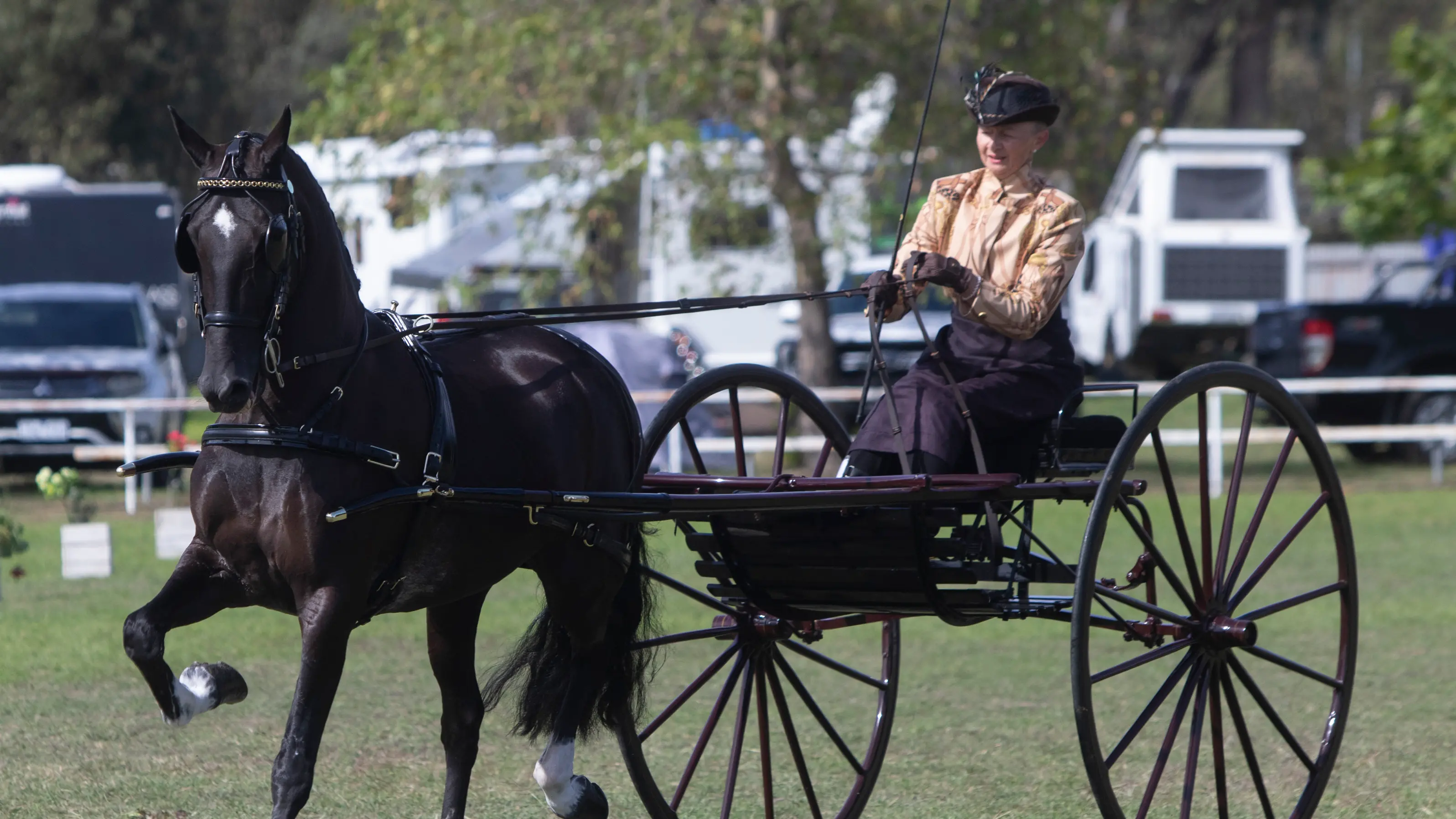 Euroa hosts state carriage championships