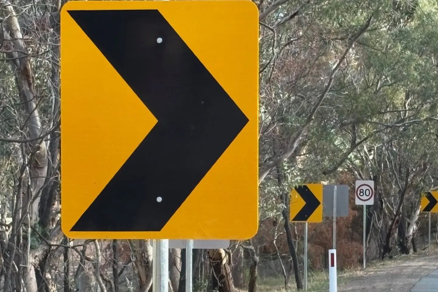 <p>TOO MANY: New warning signs placed on corners of the Euroa-Strathbogie Road. PHOTO: Andy Wilson</p>\\n