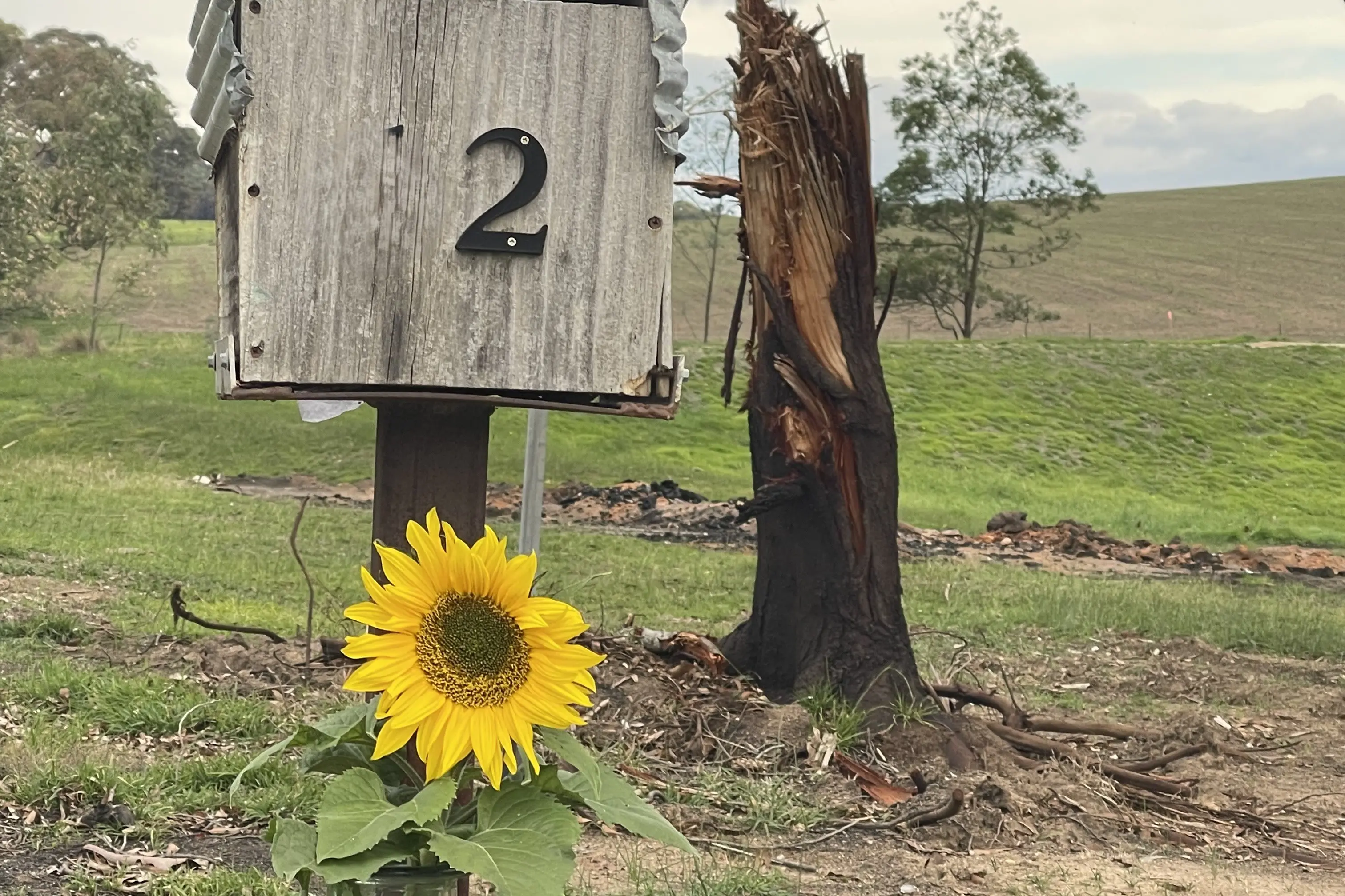 Welfare checks to support fire recovery