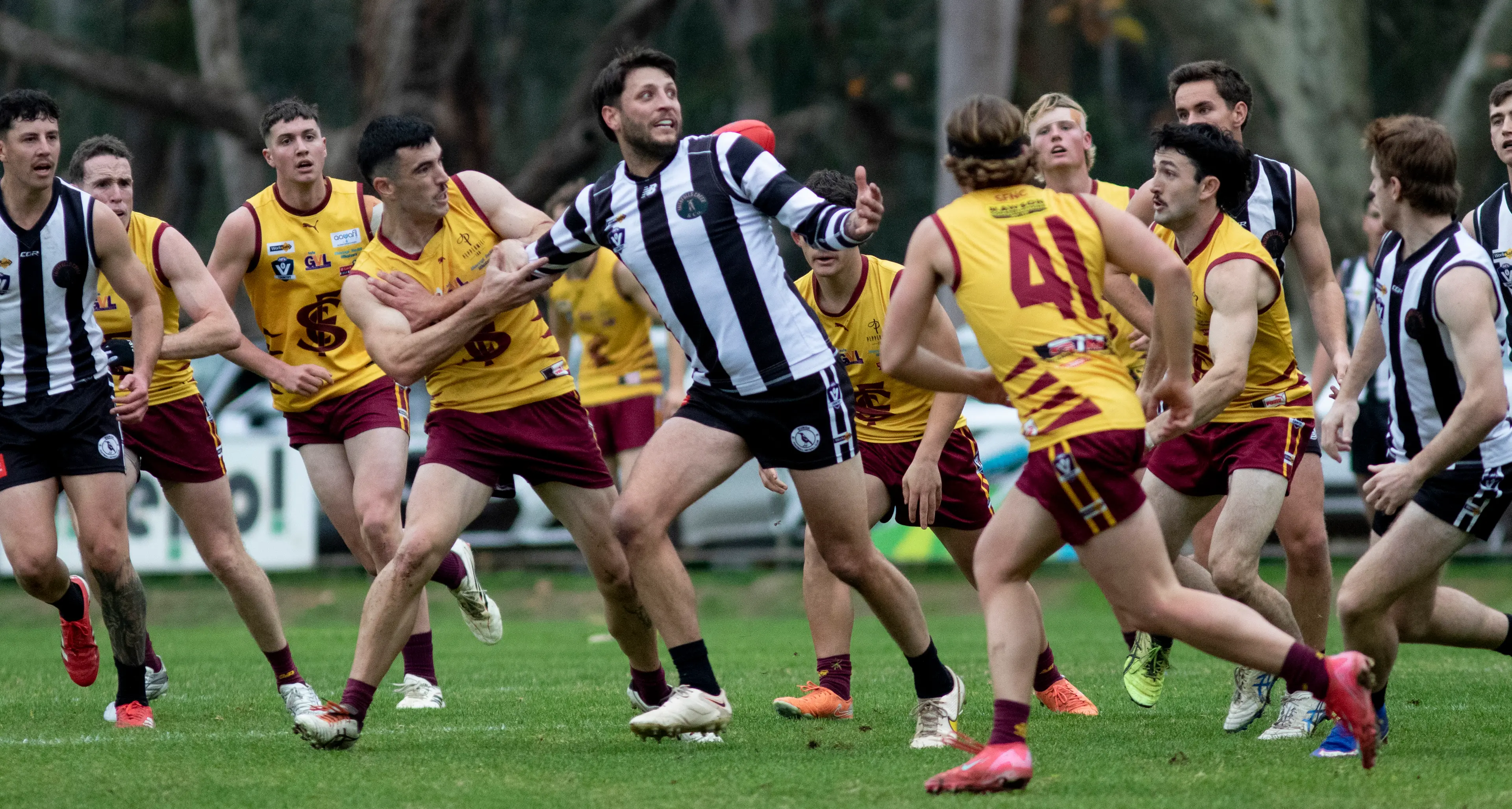 Euroa battles hard against ladder leaders