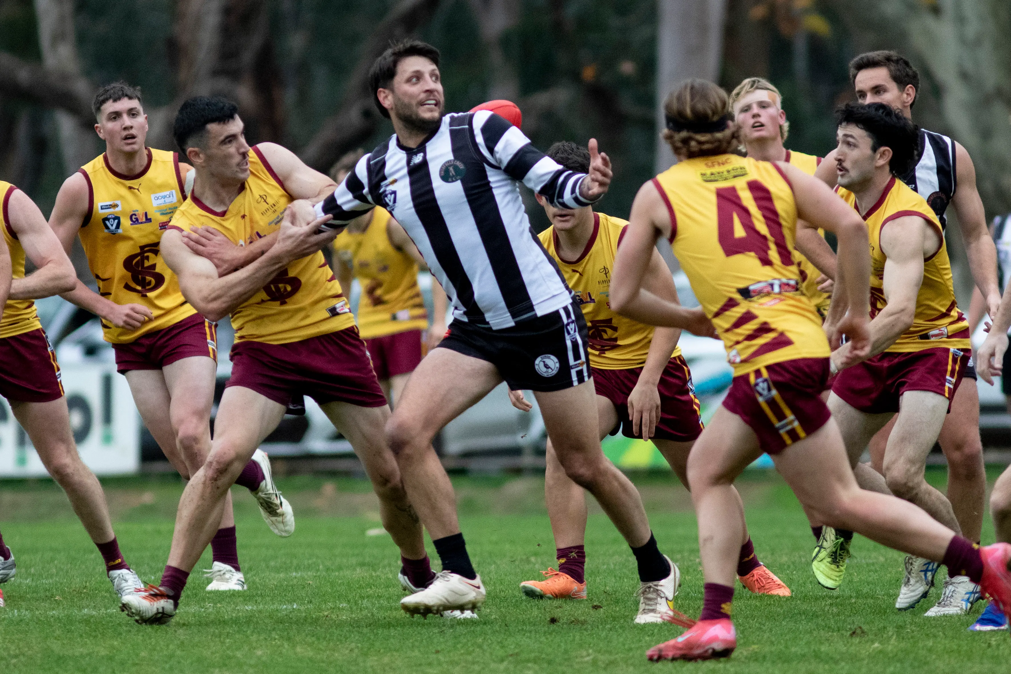 <p>BEAR HUG: Shepparton Bears swamp Adam Giobbi and the Magpies across all grades. PHOTO: Dale Mann</p>\\n