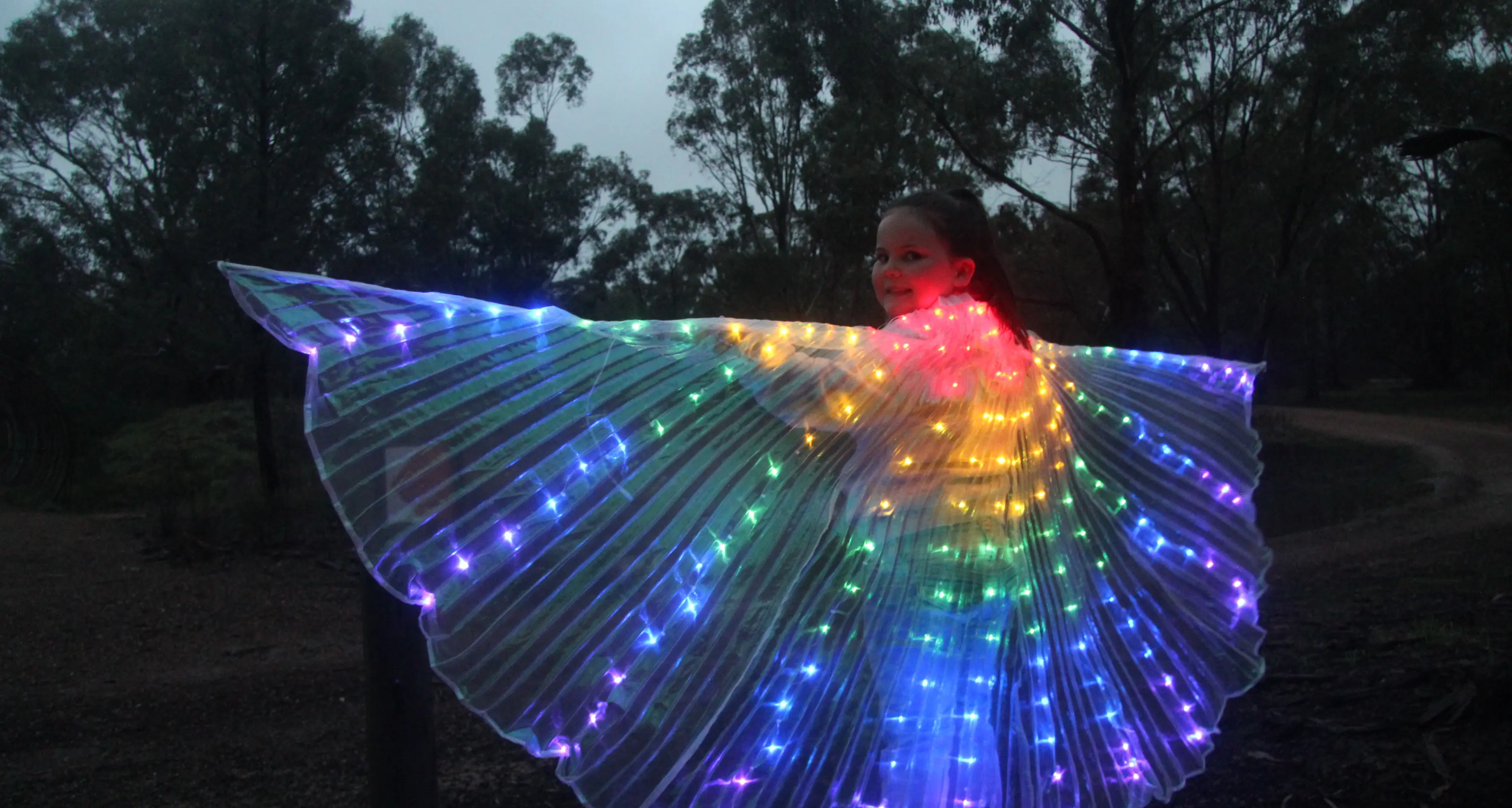 Arb hosts midwinter fun