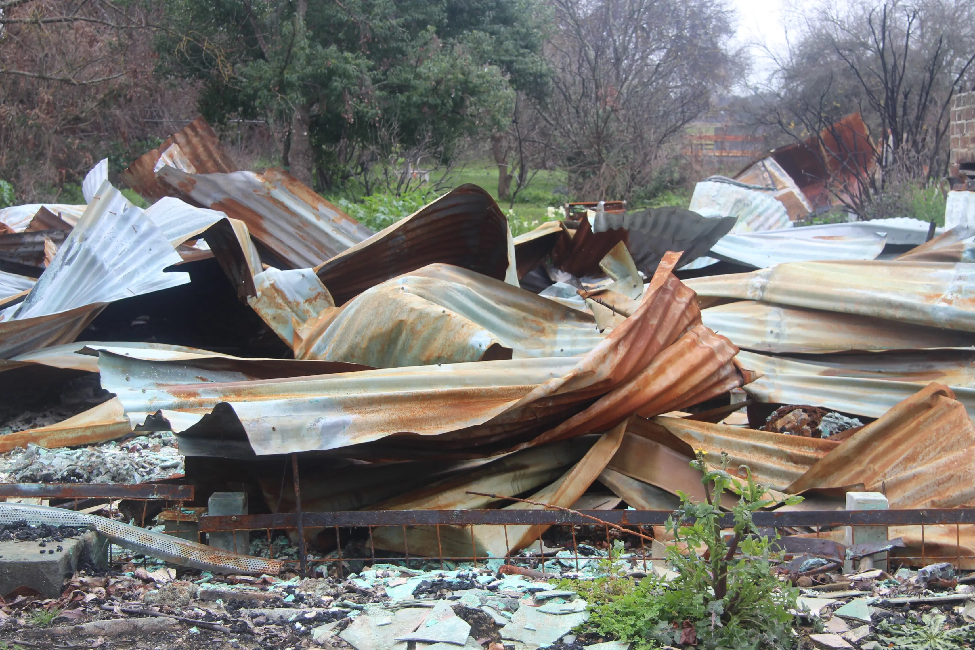 Report finds gaps in bushfire recovery