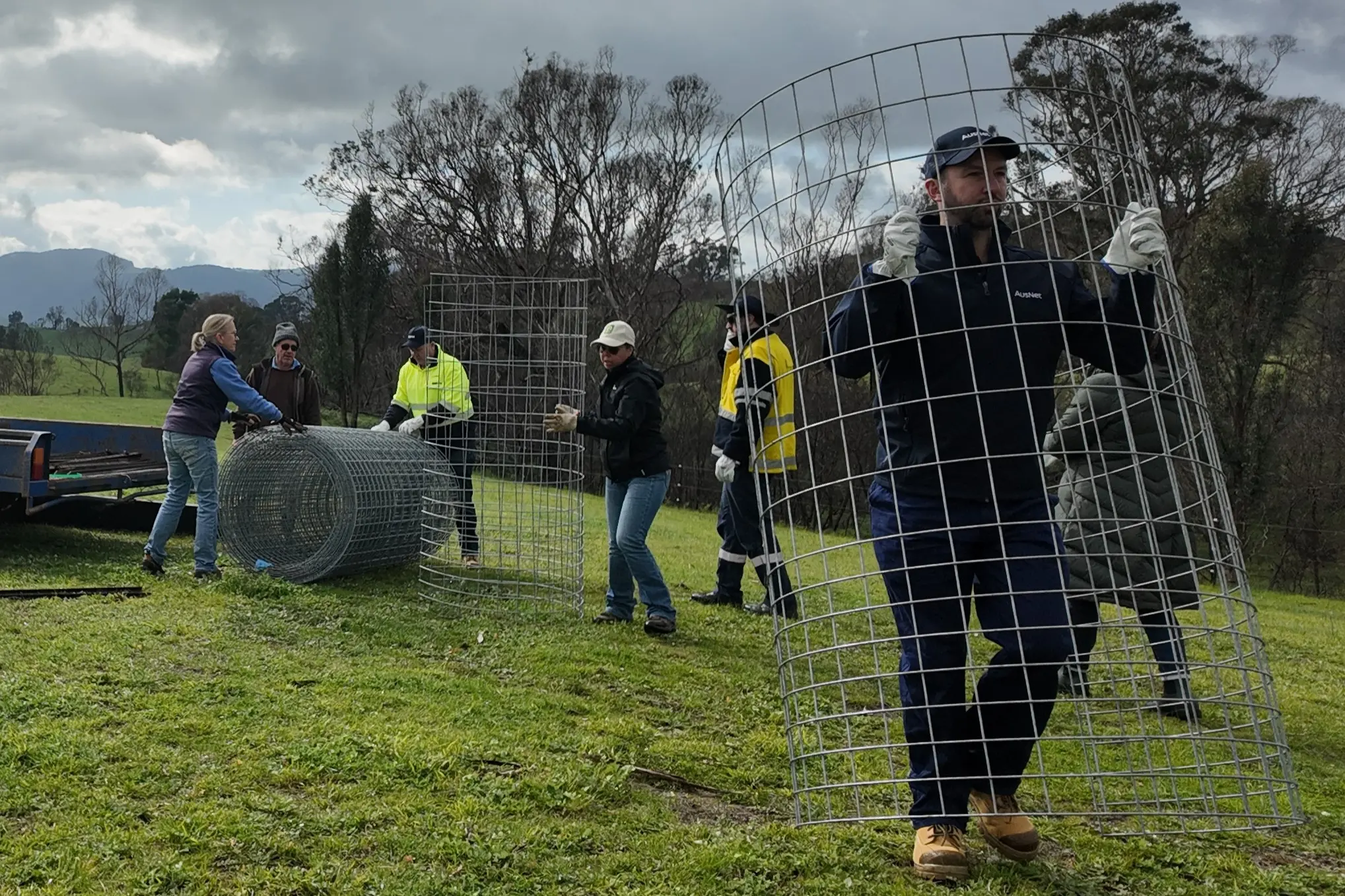 <p>GUARDIANS OF THE FUTURE: AusNet and Landcare volunteers prepare protective cage guards for naturally regenerated trees near Ruffy, helping self-sown seedlings establish the next generation of bushland. PHOTO: Nicci de Ryk</p>\\n