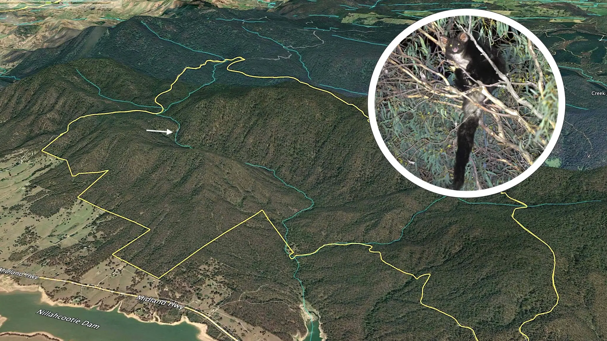 Glider concerns raised over planned Sandy Creek burn