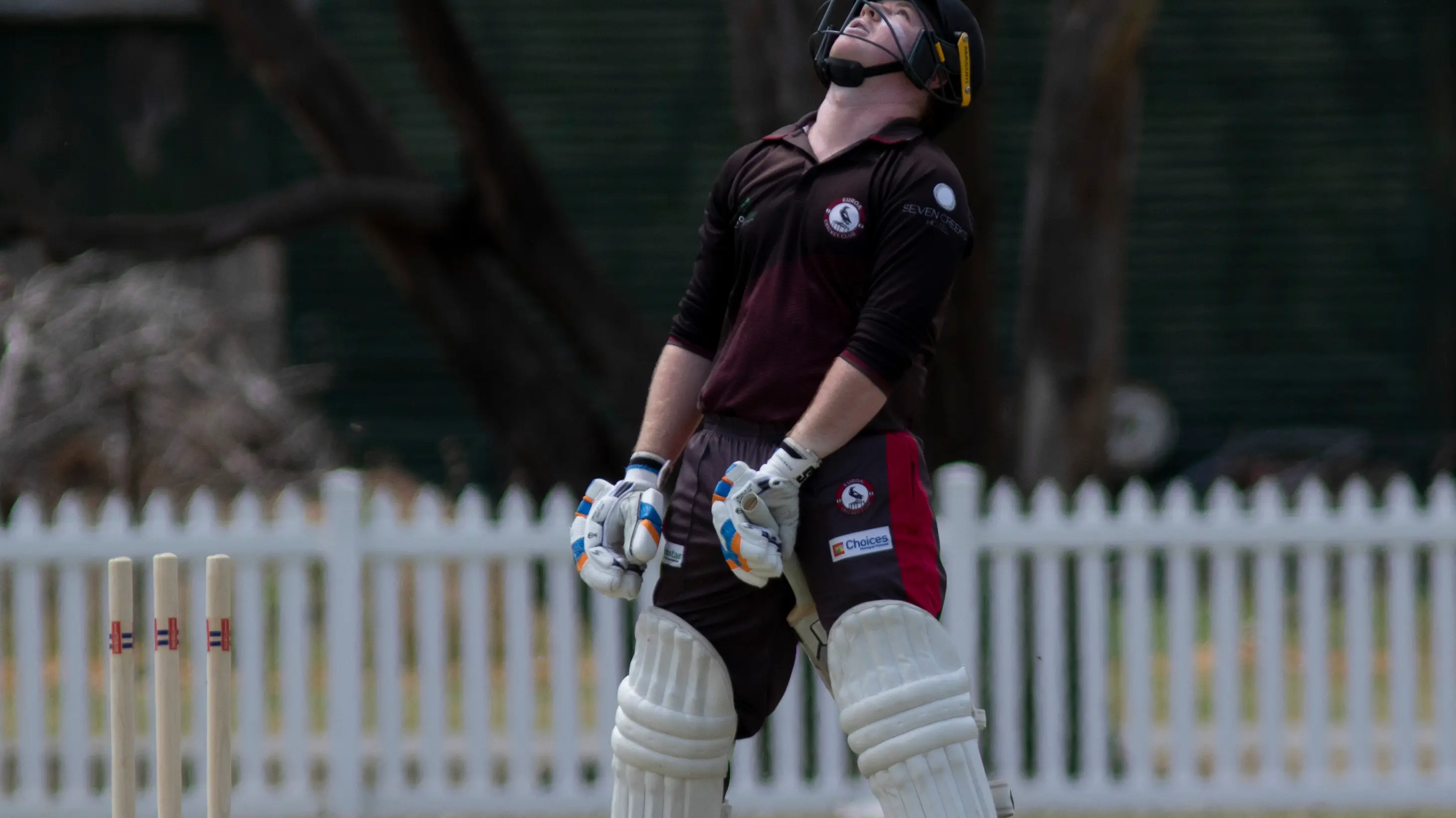 Robertson and Hill shine in second wicket partnership